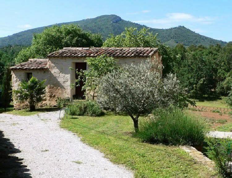 Cabanon provençal…